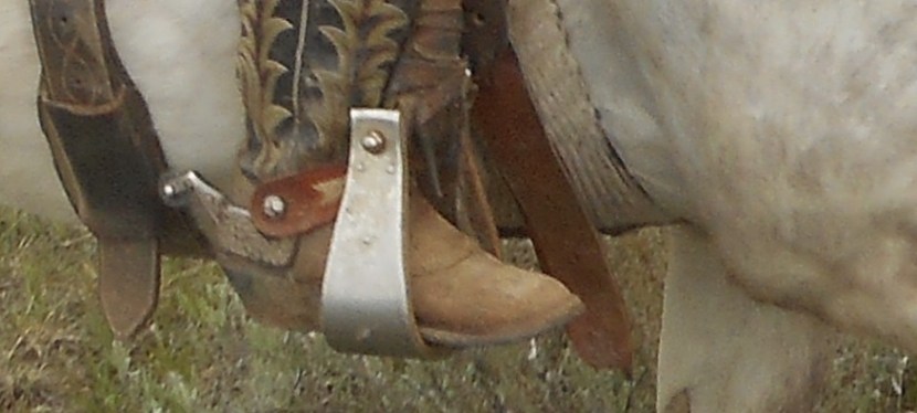 New “Stirrup” Story Added to Web&nbsp;Site