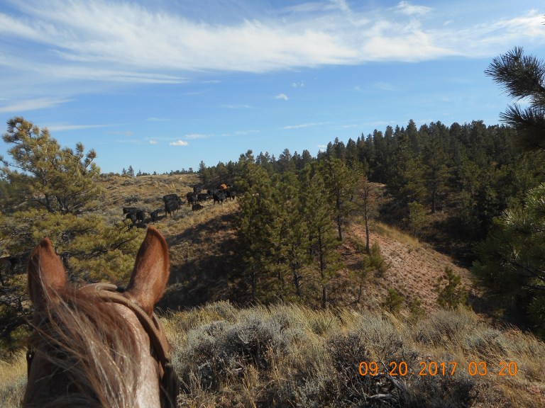 20170920 Gathering Coalwood side2