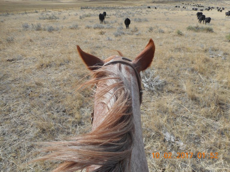 20171002 Windsor Trailing str prs thru HH1*