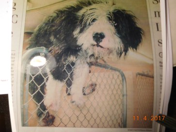 2007 Peabody in newspaper3