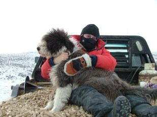 Peabody sharing his winter coat for warmth