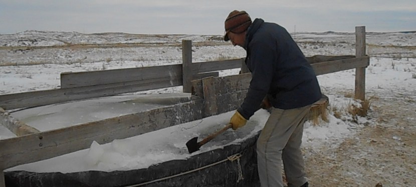 Winter Ranch Olympics