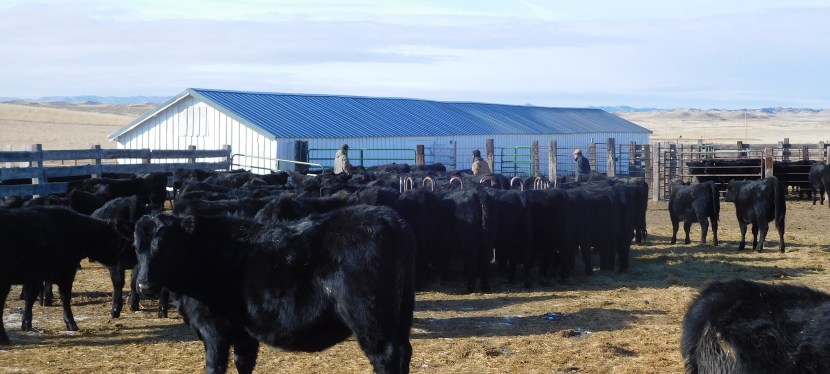 A New Short&nbsp;Story