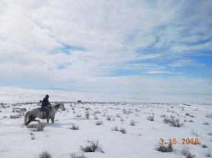 Snow hock deep makes travel difficult