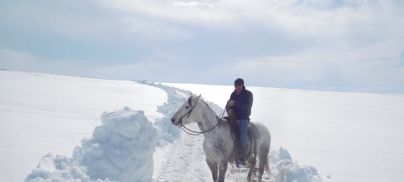 Our New Dirty Word – SNOW&nbsp;(&*%#)