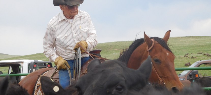 Donald Roping – 88 Years&nbsp;Young