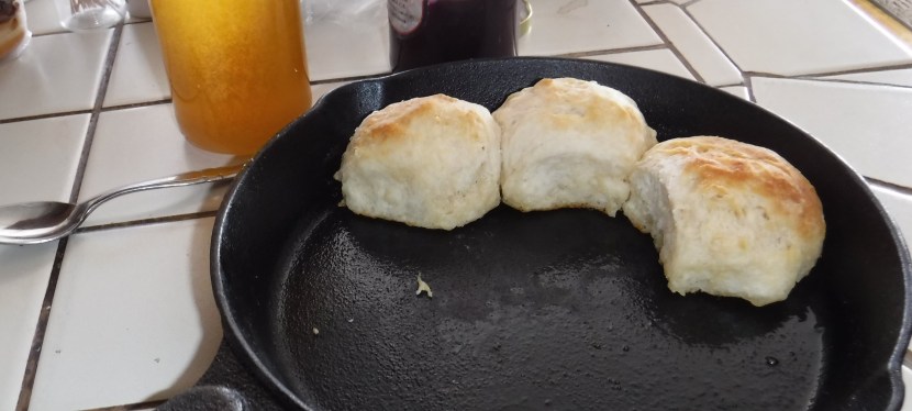 Whoo-Hoo! for New&nbsp;Sourdough